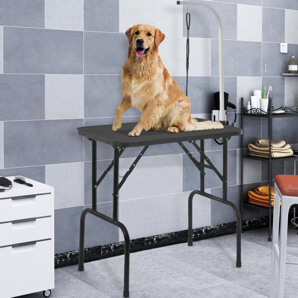 59.3'' H x 32'' W x 18'' D Plastic Foldable Dog Folding Grooming Table